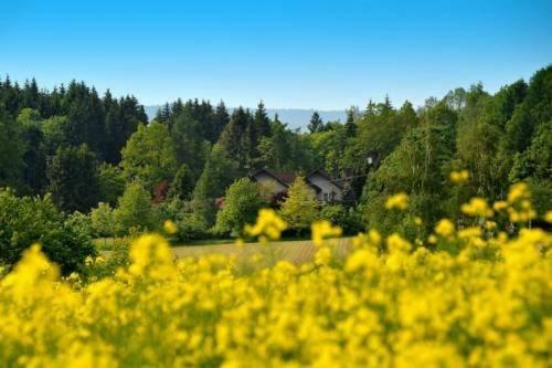 Altes Forsthaus Goseplack Hotell Hardegsen Exteriör bild